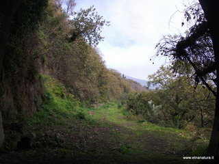 mpa Falconiera-30-03-2013 08-53-18